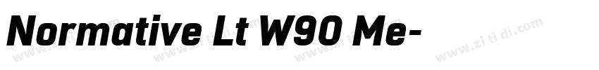 Normative Lt W90 Me字体转换